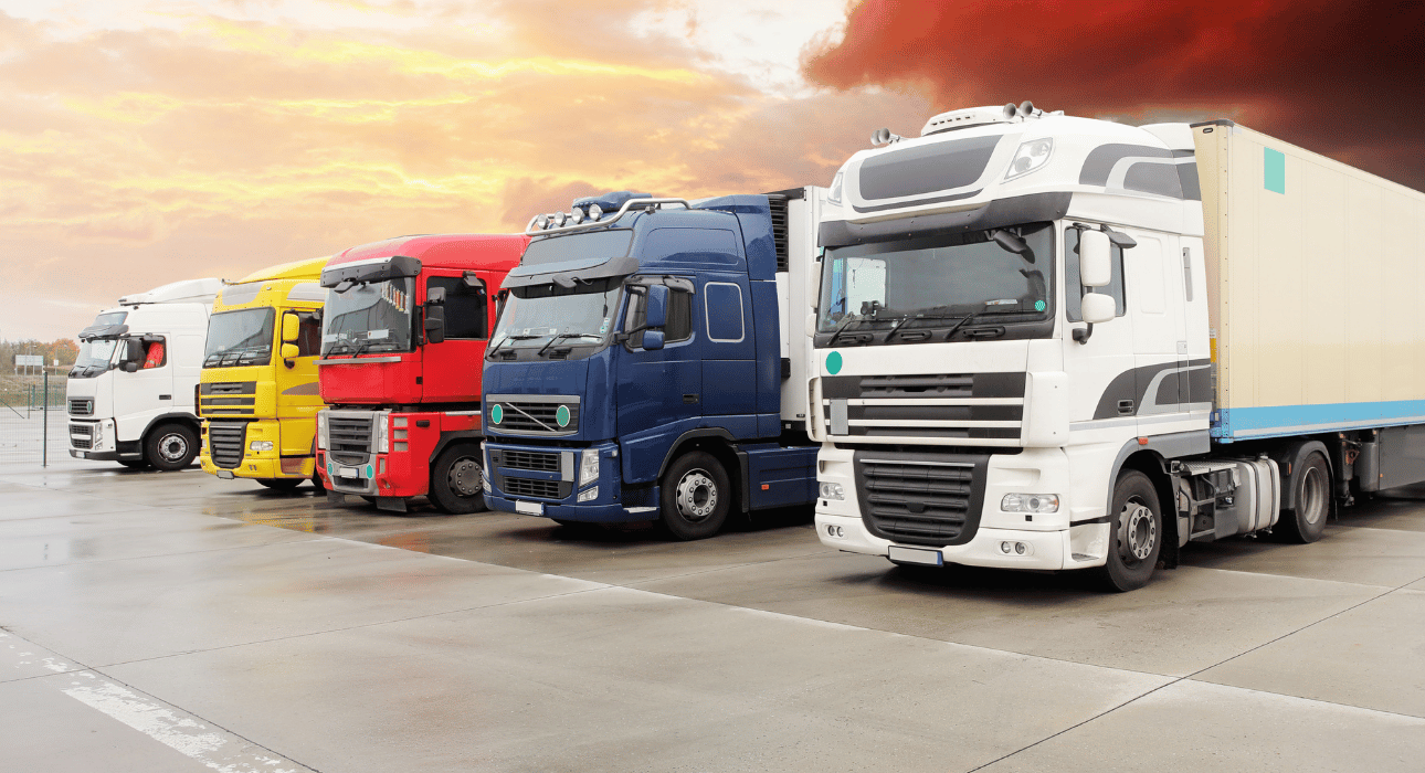 دراسة جدوى مشروع النقل البري